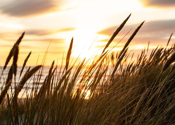 Texel Sunset 3