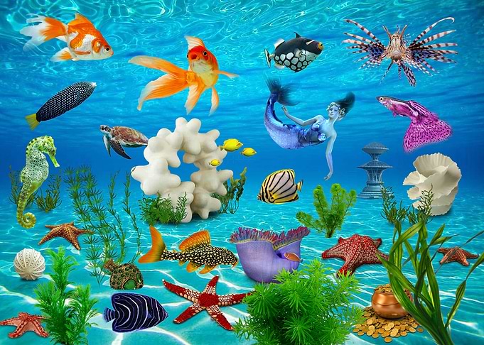 Sea bottom Mermaid