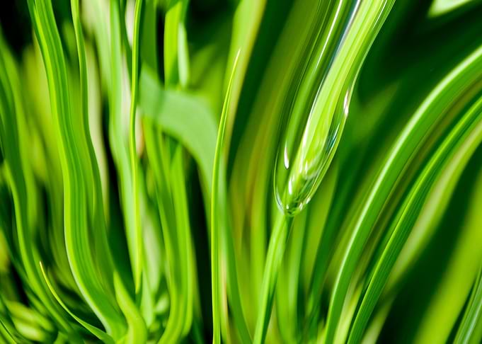 Abstract in green