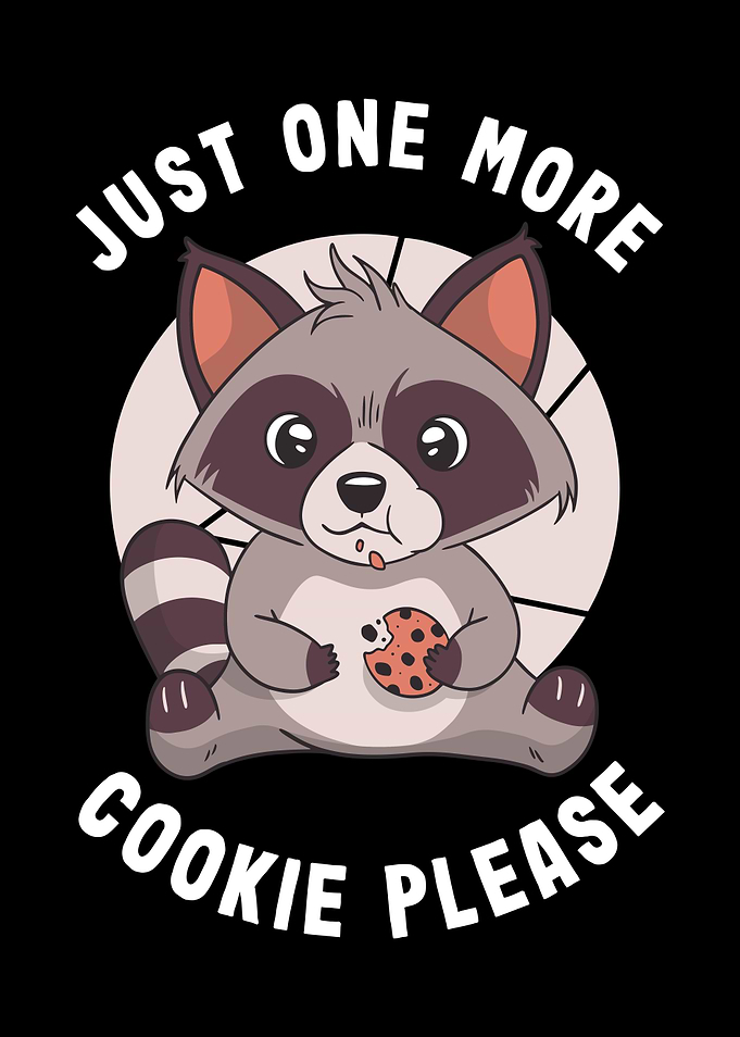 Raccoon Trash Panda Gift