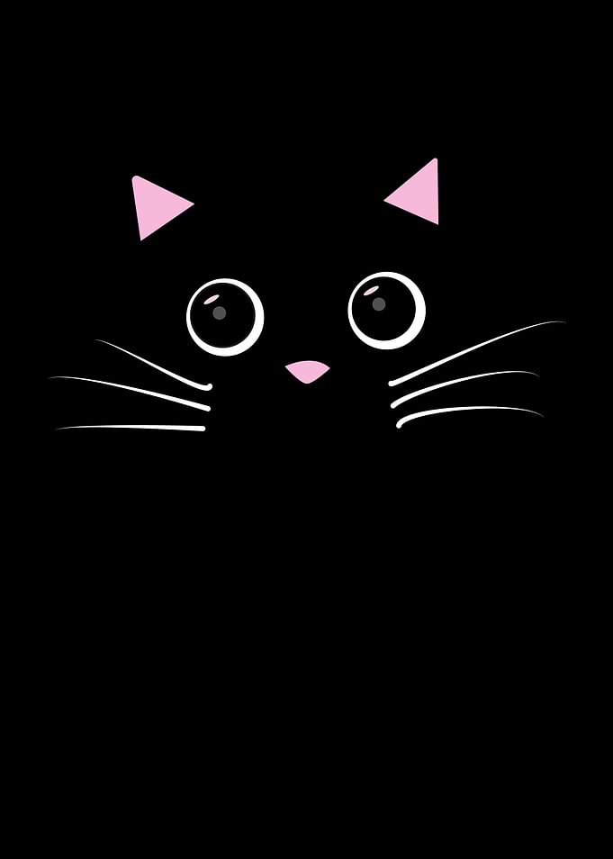 Cat Face With Googly Eyes