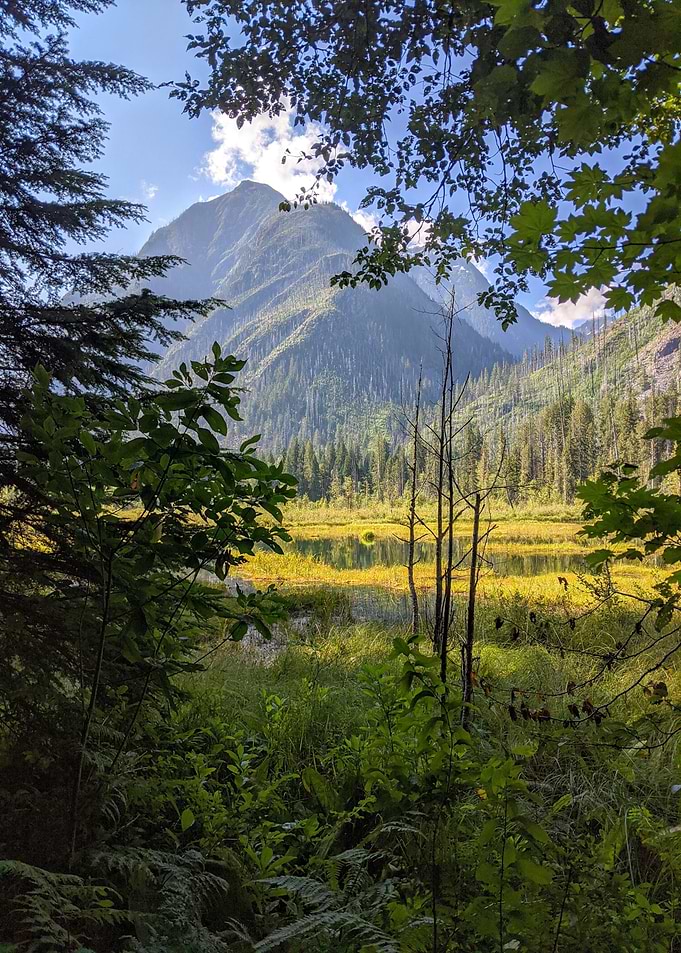 Mountain through the trees