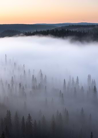 Dawn