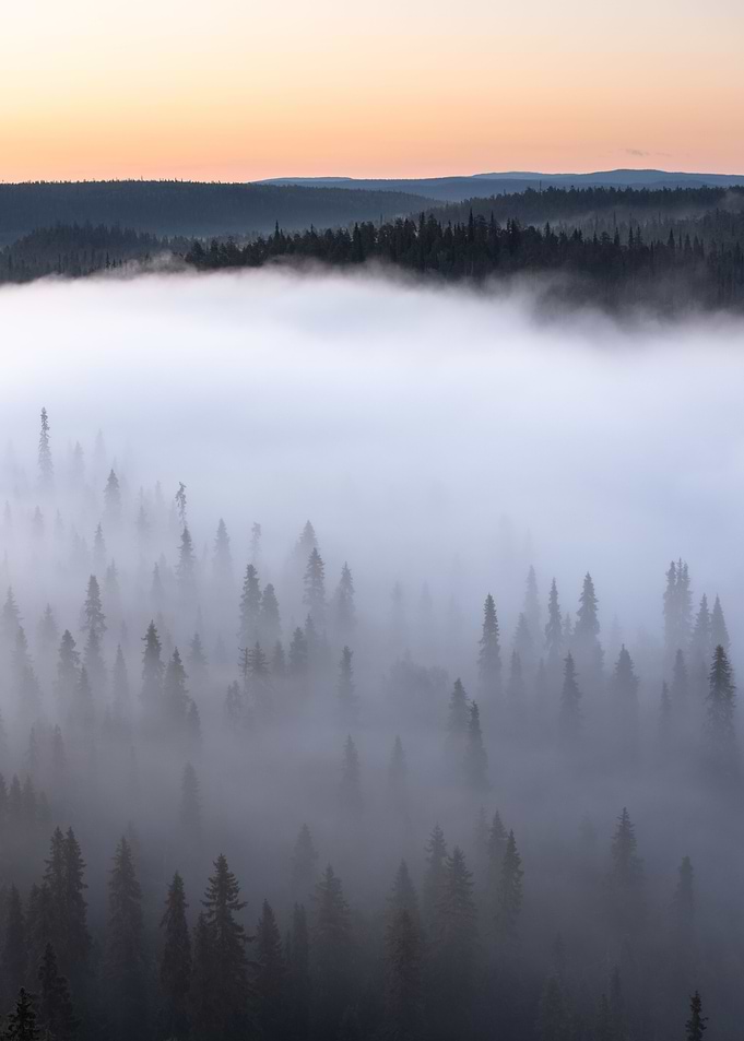 Dawn