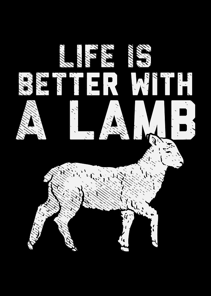 Life Is Better With A Lamb
