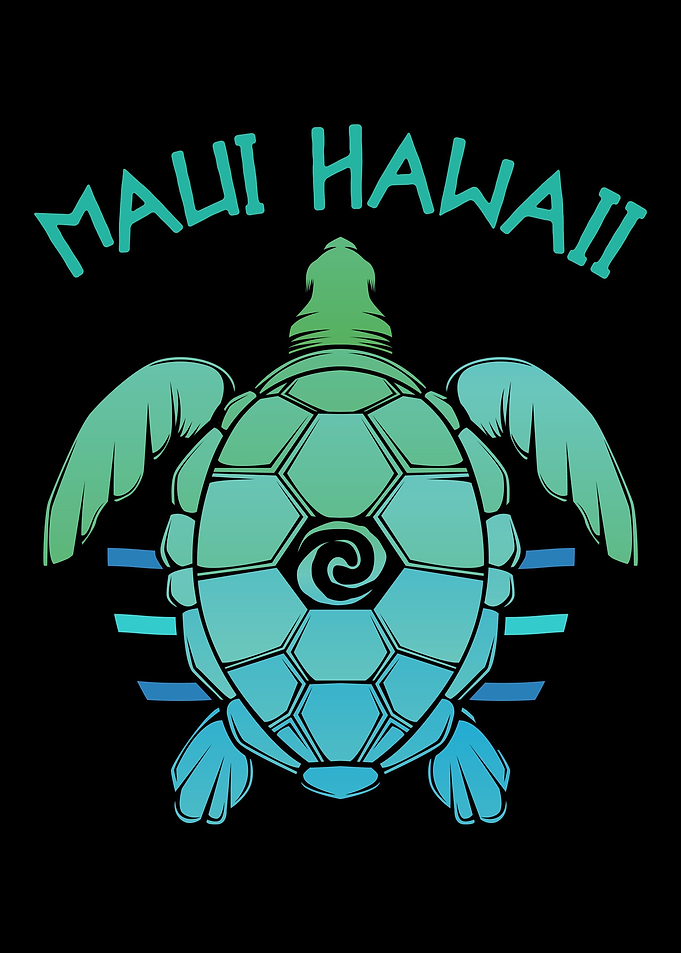 Maui Hawaii Island Vacatio