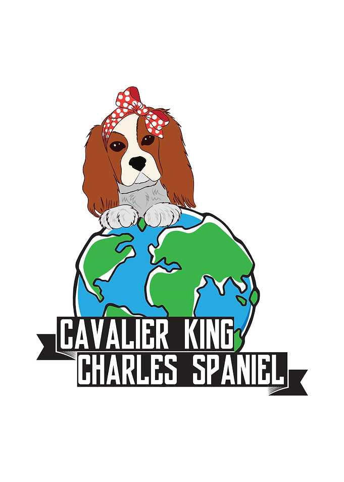 Cavalier King