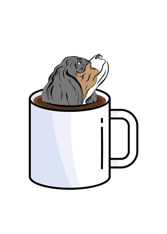Tea and Dog