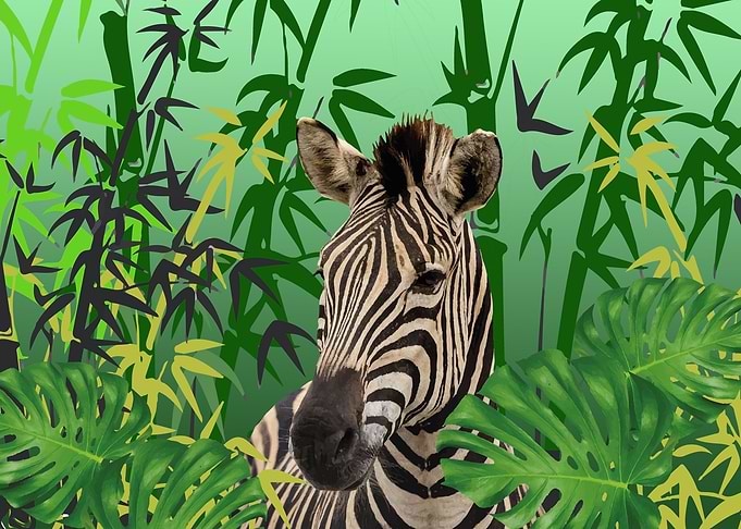 Zebra Jungle Bamboo Leaves