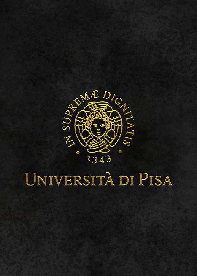 University of Pisa Italy
