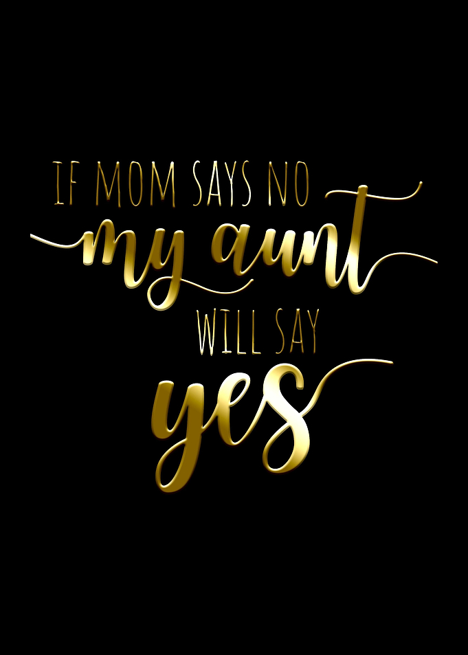 If Mom Says No My Aunt