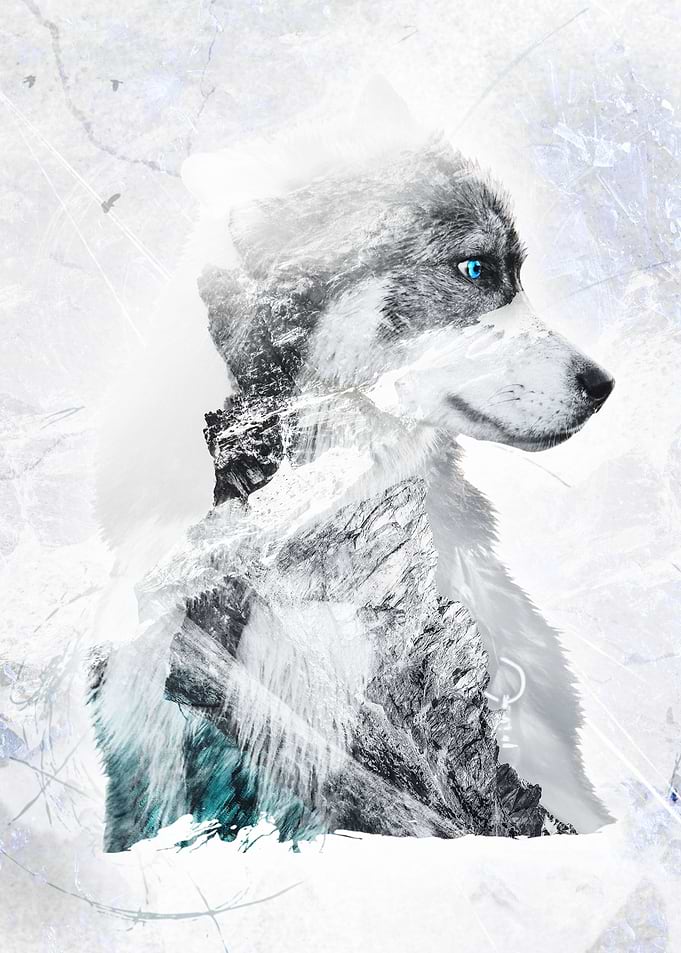 Nordic Dog Double Exposure