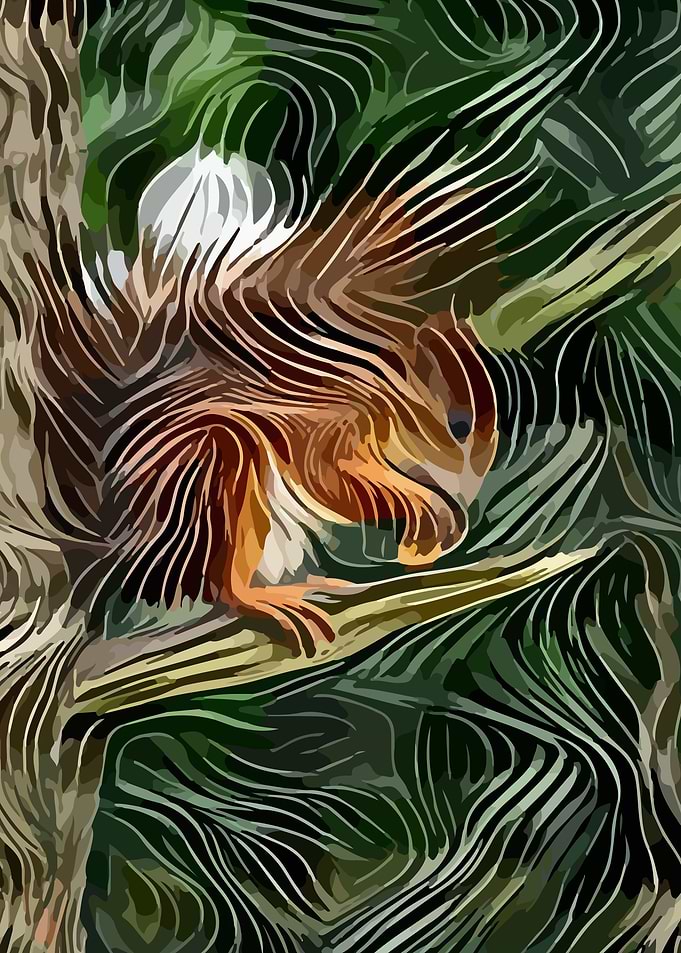 Squirrel