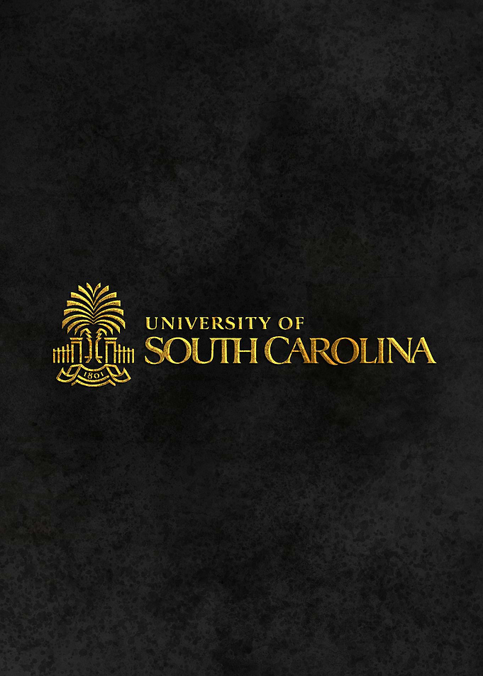 University South Carolina