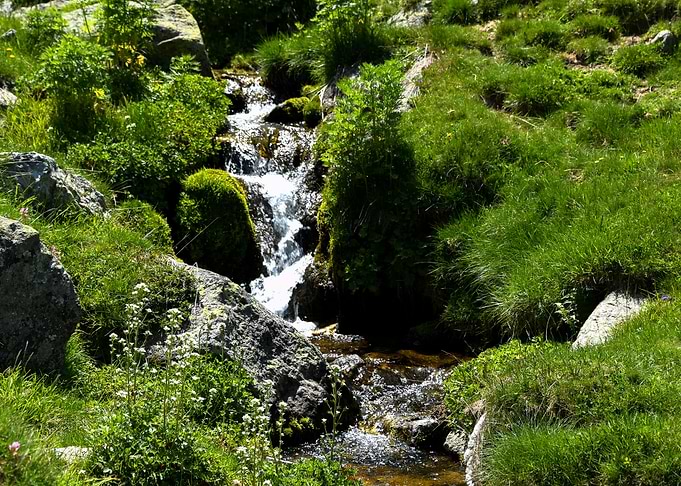 Along the Rivire