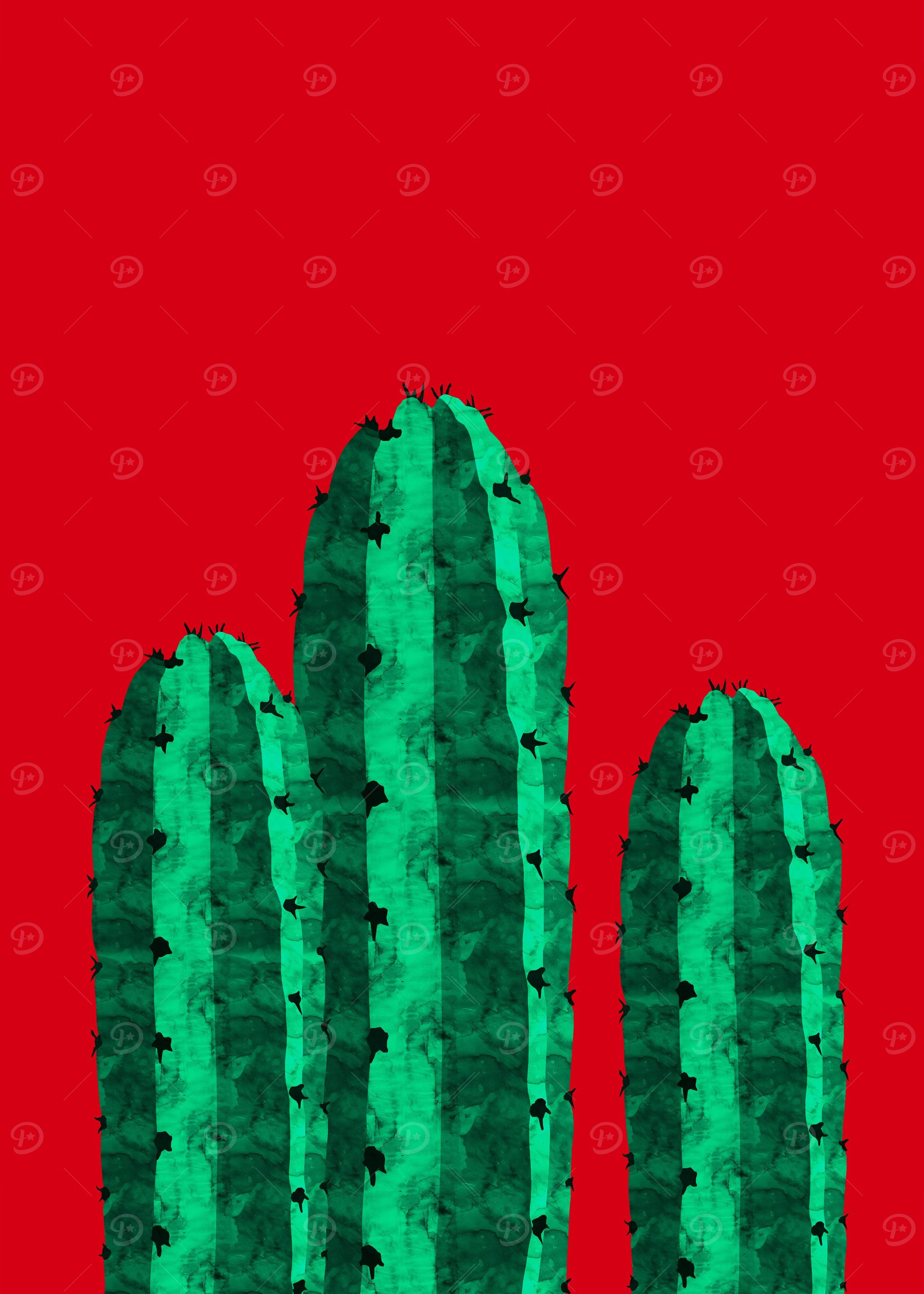 Cacti XIII