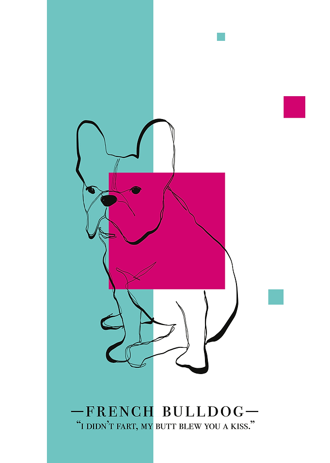 French Bulldog