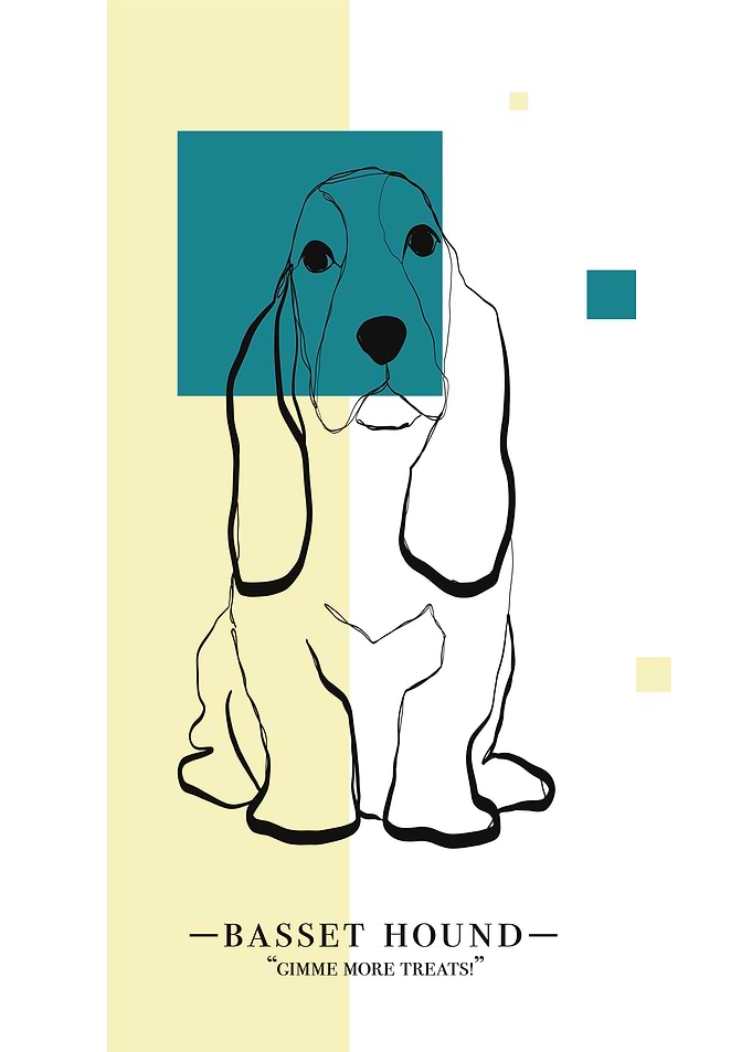 Basset Hound