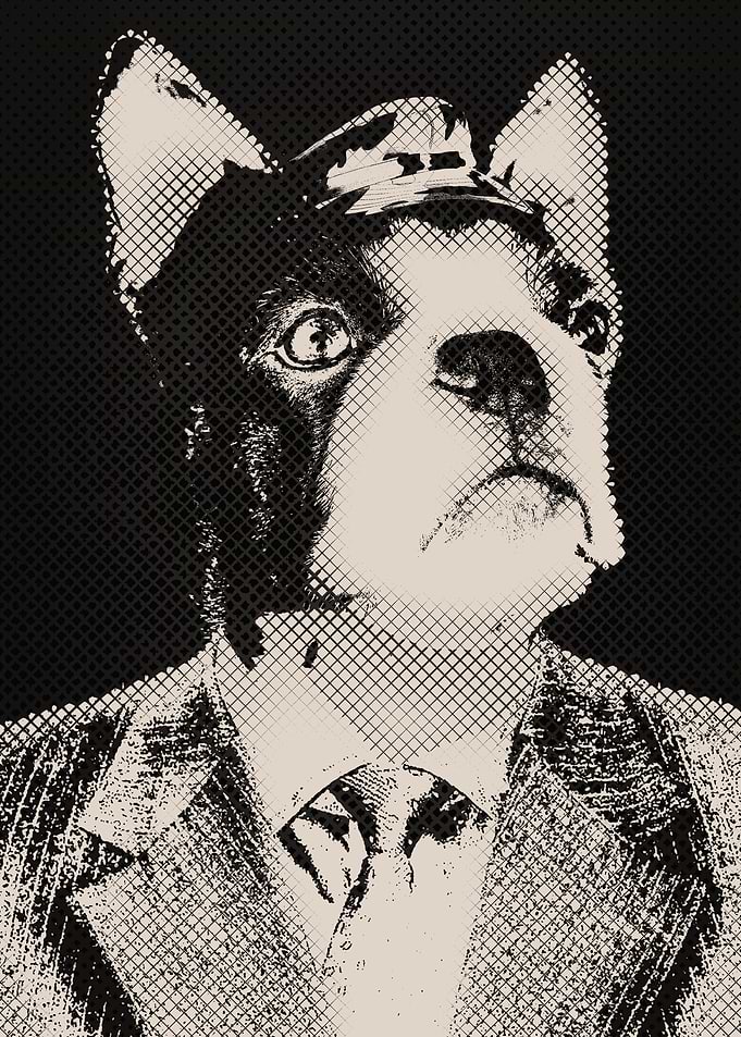 mr dog