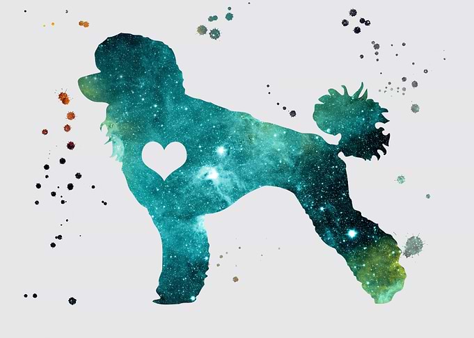 Poodle Nebula