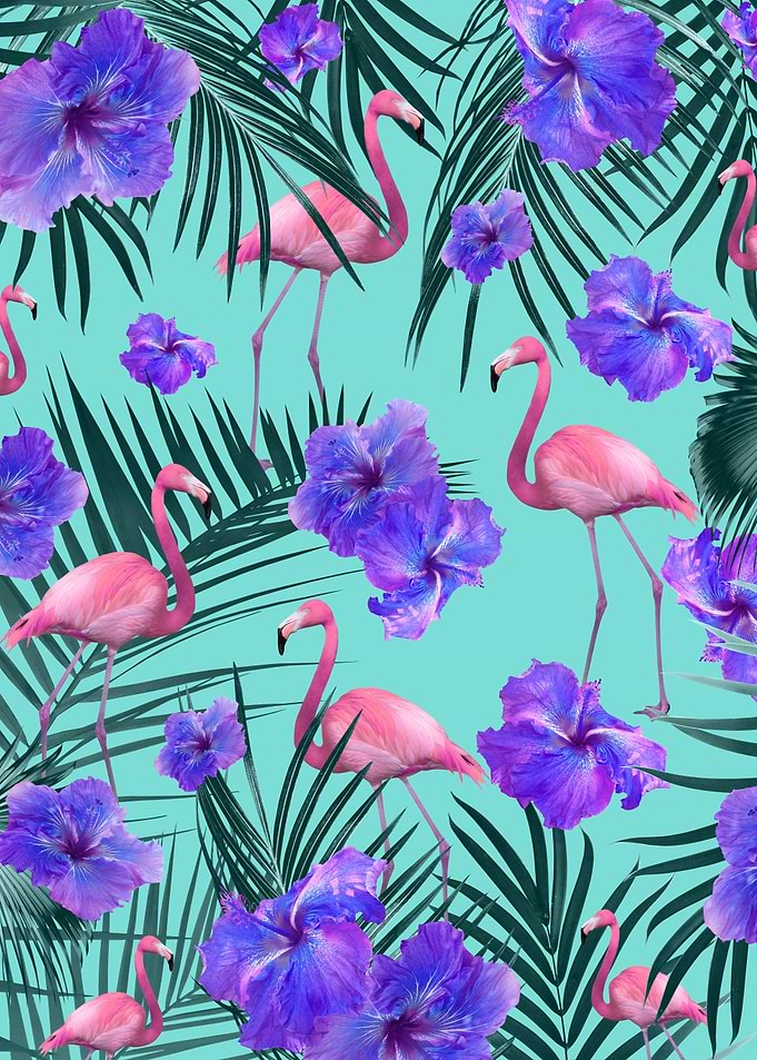 Flamingo Hibiscus 2