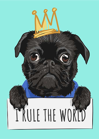 I rule the world
