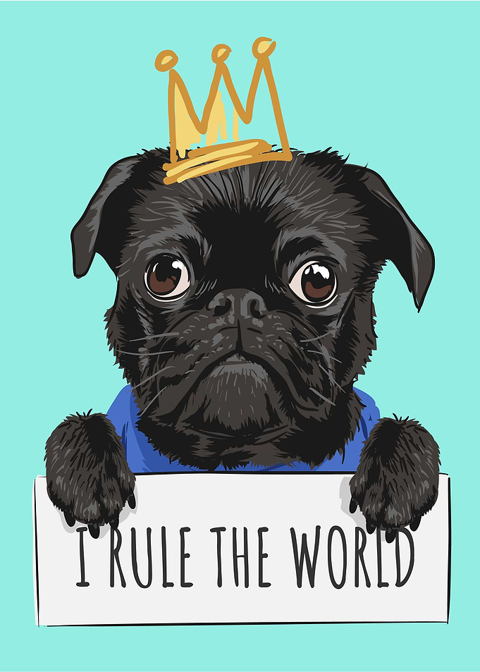 I rule the world