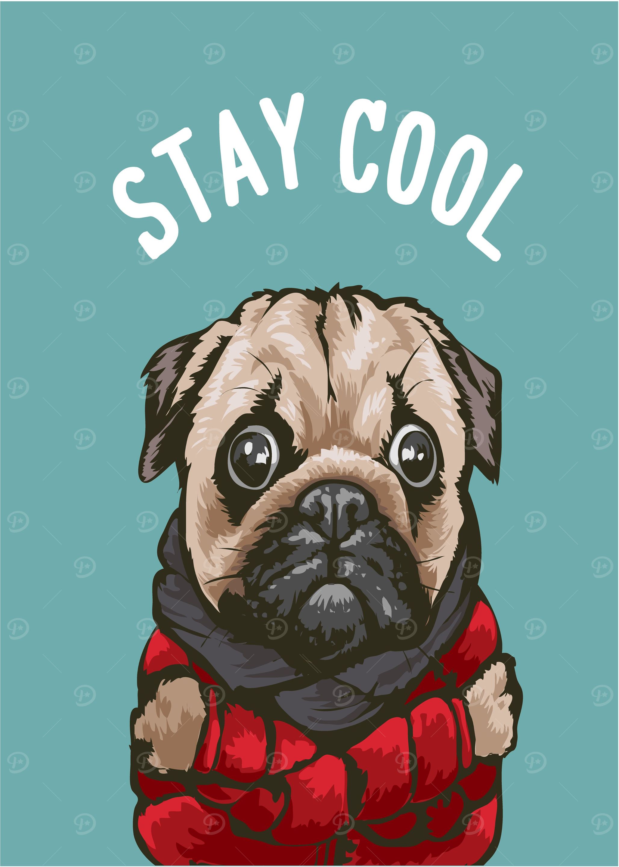 stay cool dog