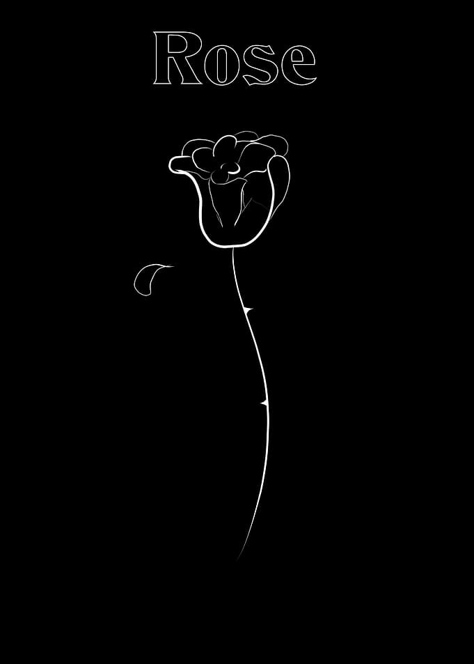 Rose