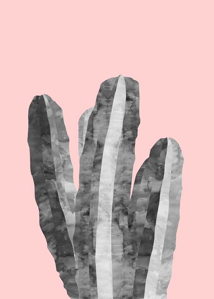 Cacti XII
