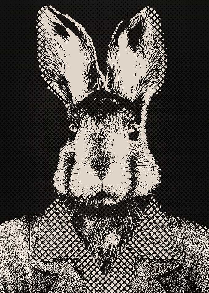 mrs rabbit