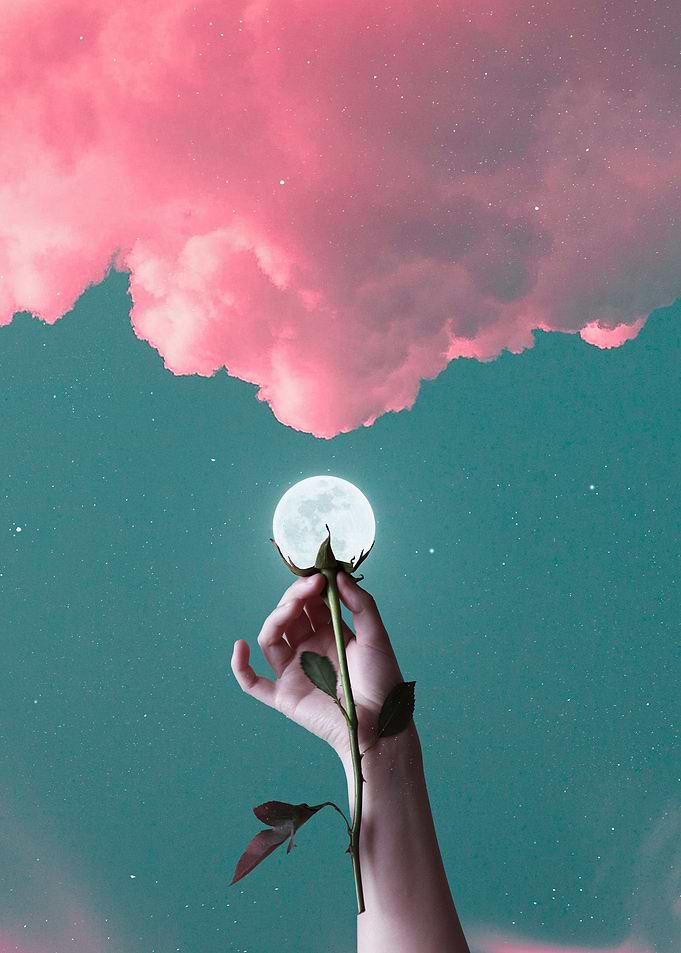 Moon Rose
