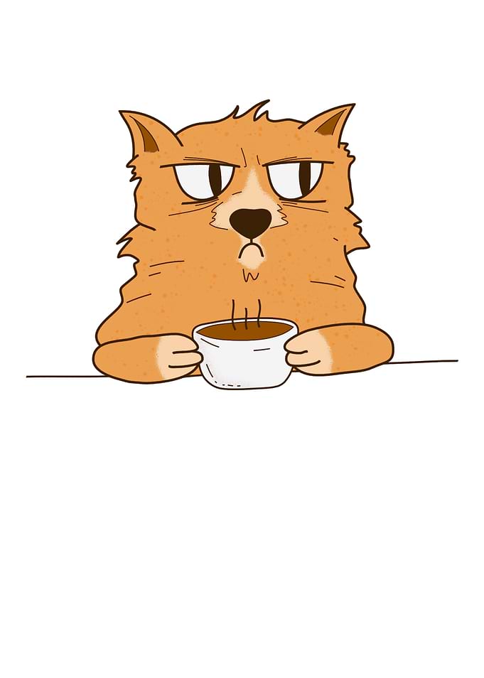 Funny grumpy Coffee Cat