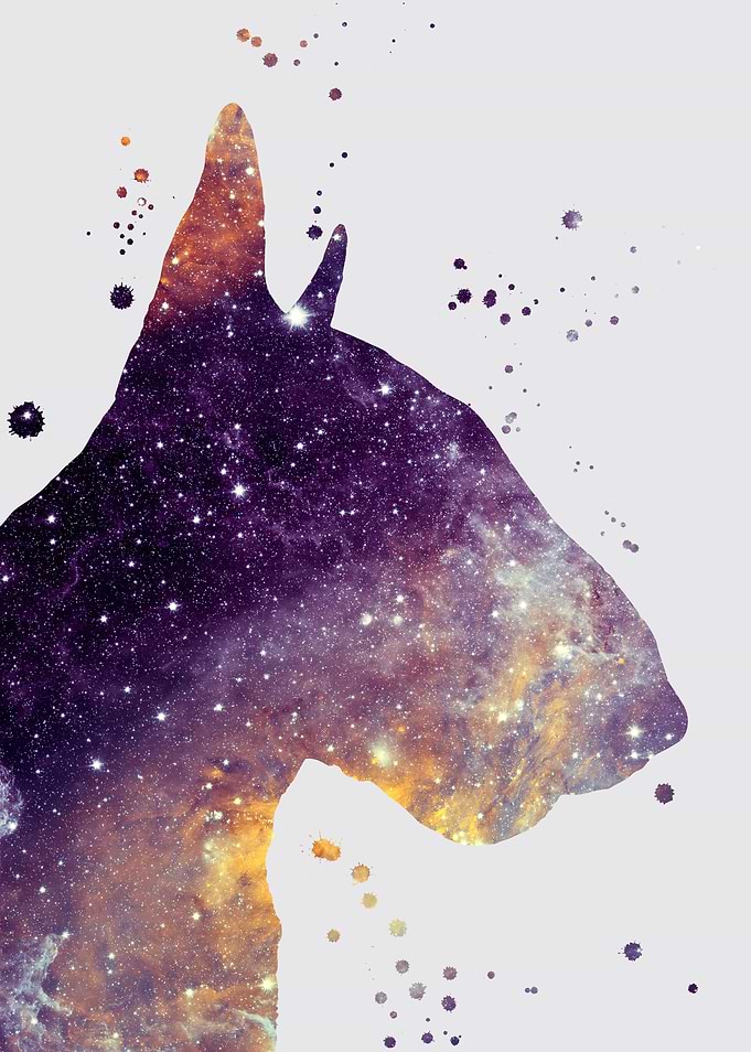 Bull Terrier Nebula