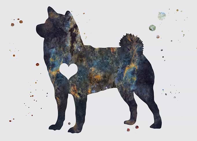 Shiba Inu Nebula