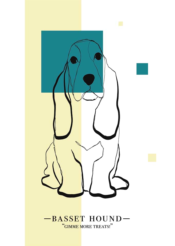 Basset Hound