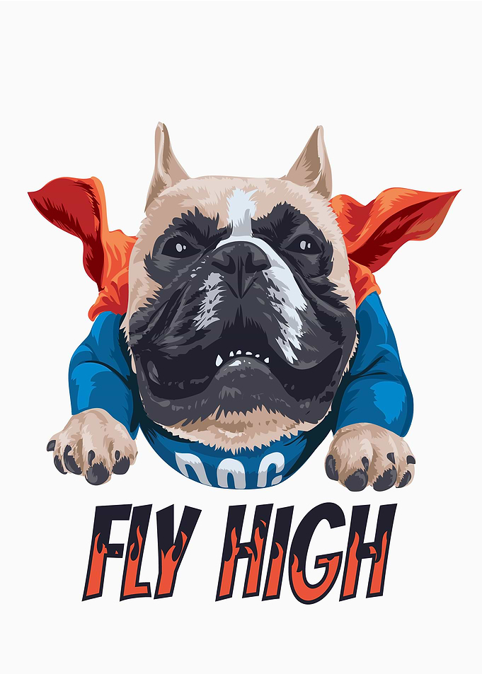 Fly High
