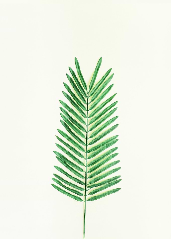 Leaf I
