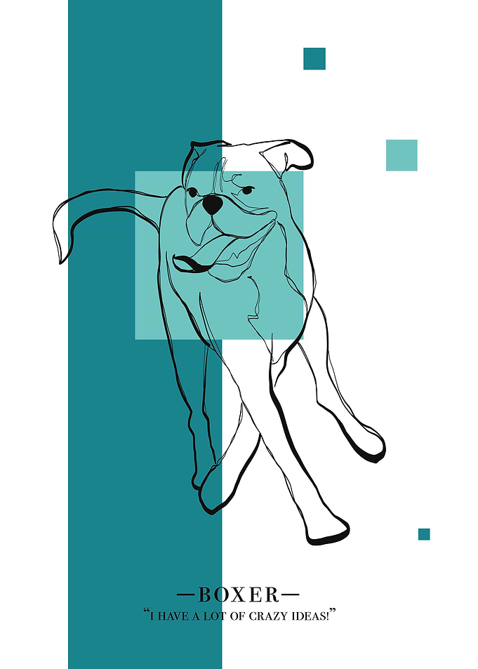 boxer