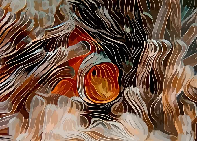 Clownfish in anemone