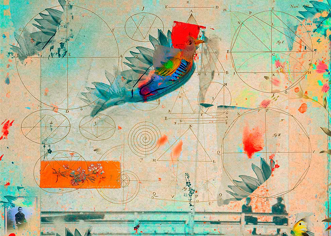 Dreams of Liberty