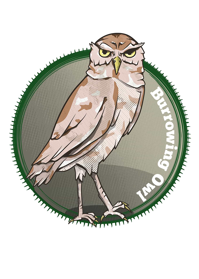 Burrowing Owl