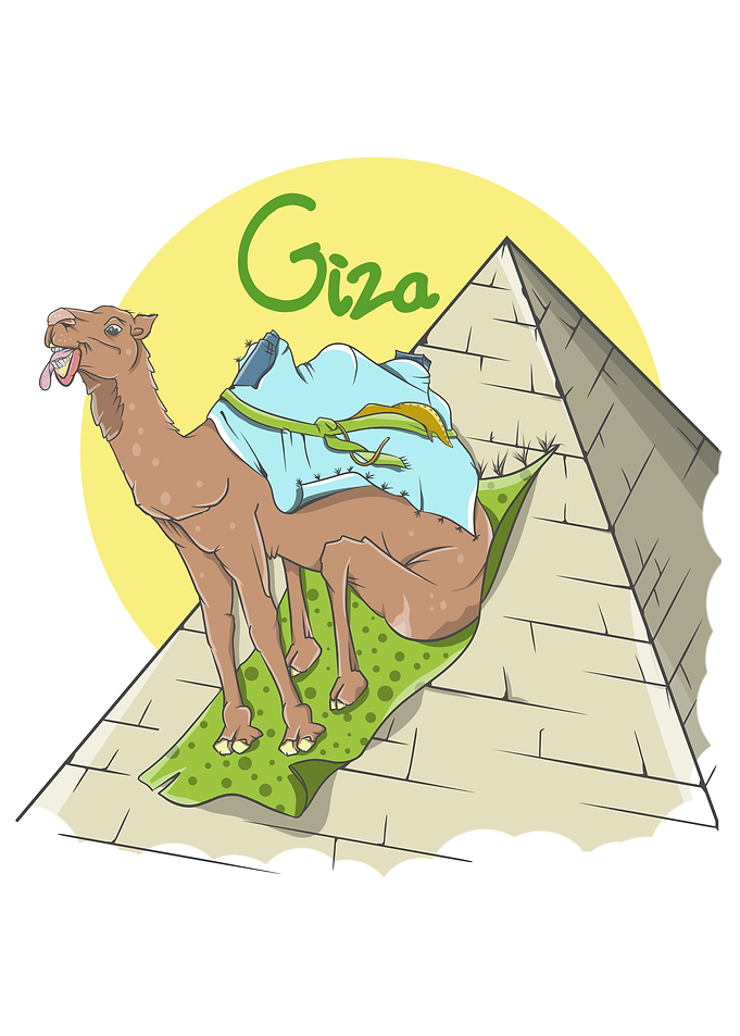 Camel Giza Pyramid