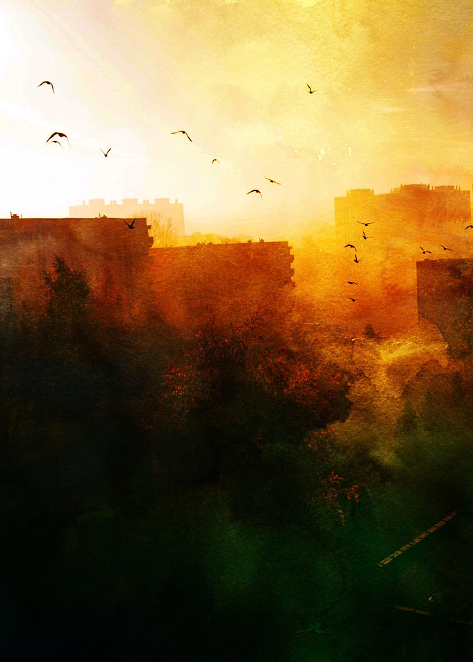 Golden Sky