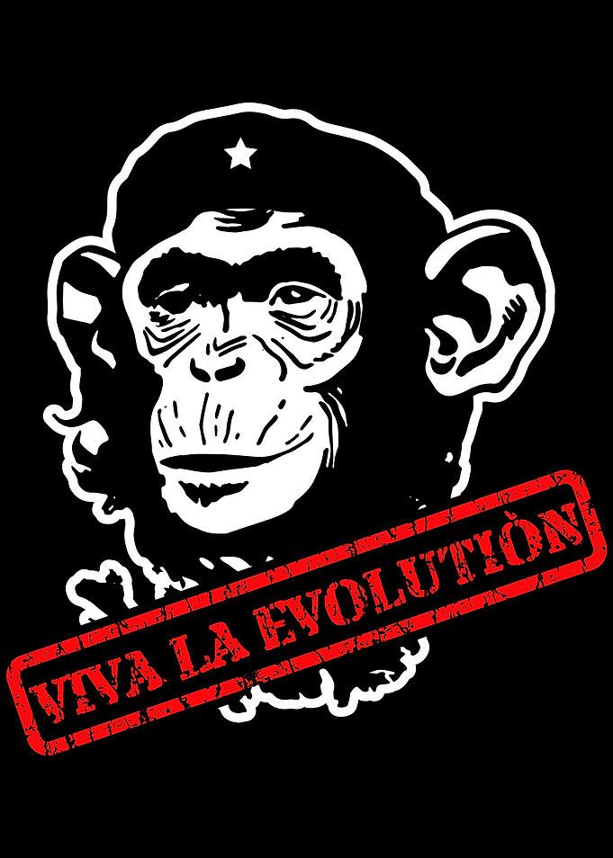 Viva La Evolution