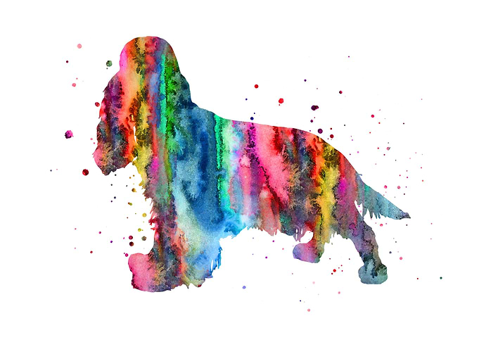 English Cocker Spaniel