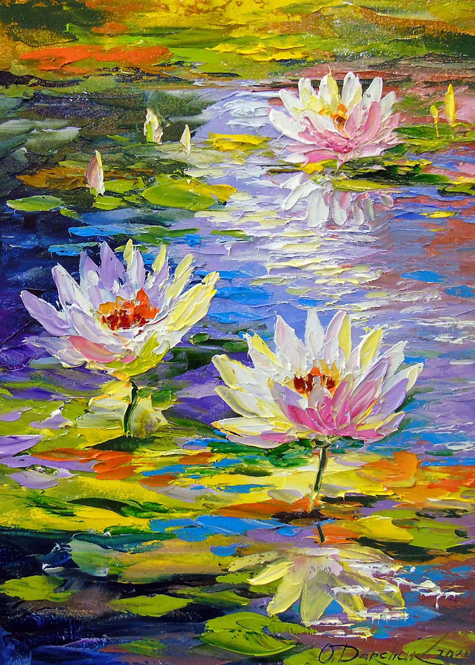 Water lilies in the pond