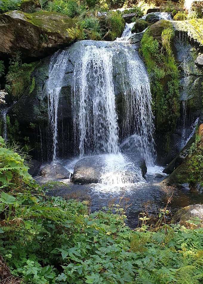 Waterfall by Nature