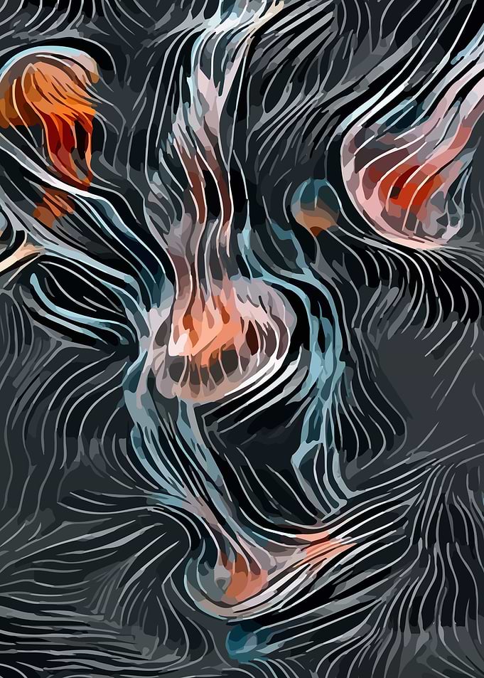 Jellyfish
