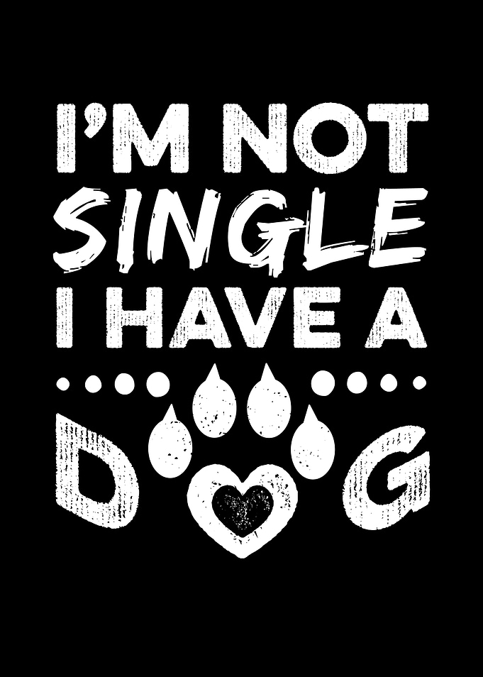 I Am Not Single I Have Dog